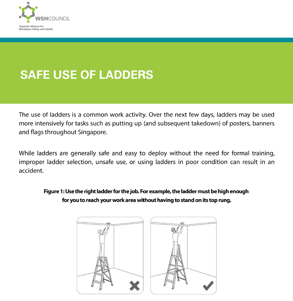 Safe Use of Ladders